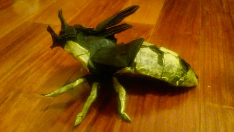 Wasp