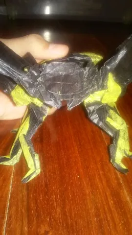 Wasp