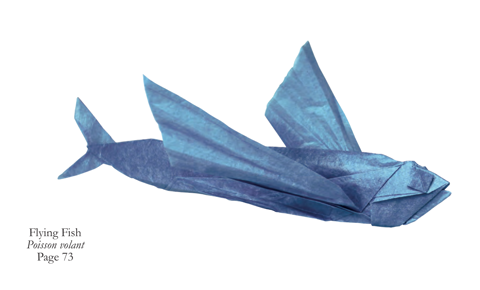 Flying fish