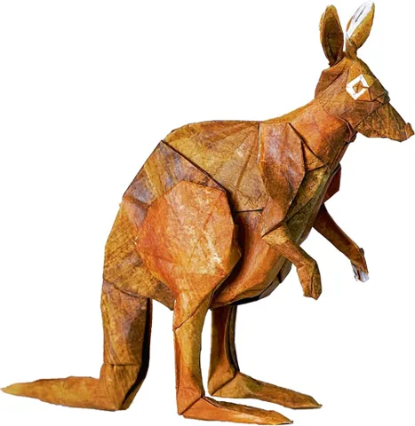 Kangaroo