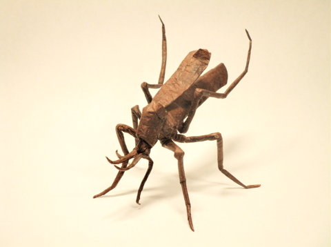Mosquito