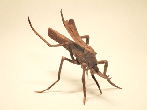 Mosquito