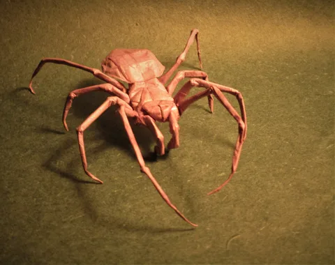 Spider