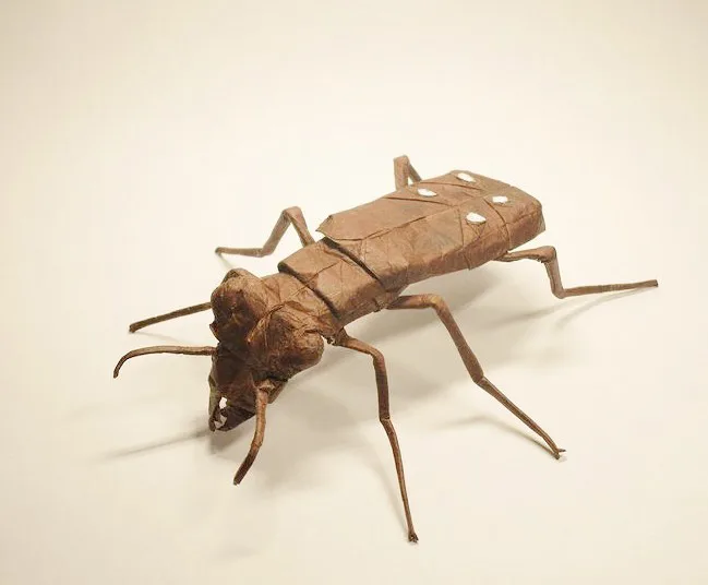 Tiger Beetle v1.2