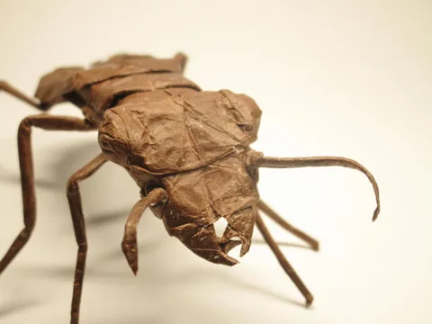 Tiger Beetle v1.2