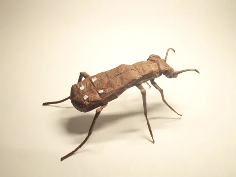 Tiger Beetle v1.2