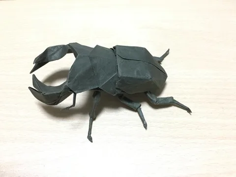 Dorcus
