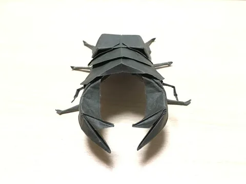 Dorcus