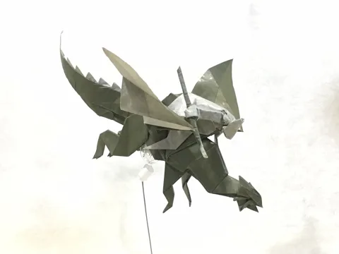 Dragon rider