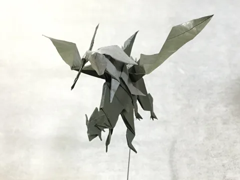 Dragon rider