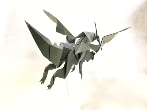 Dragon rider