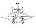 Samurai helmet beetle - winged