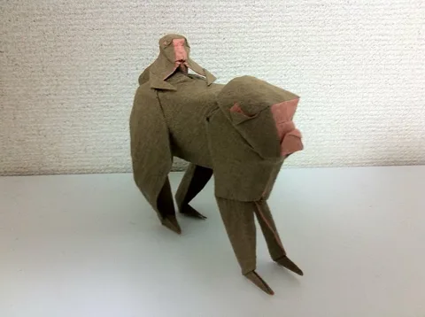 Parent and child of monkey