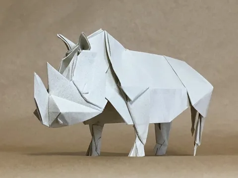 Rhino