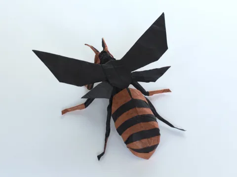 Wasp