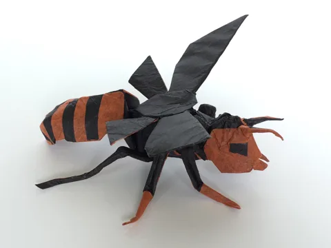 Wasp