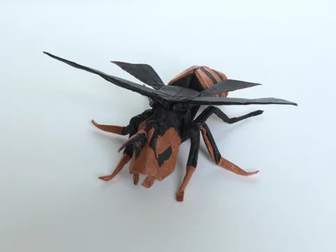 Wasp