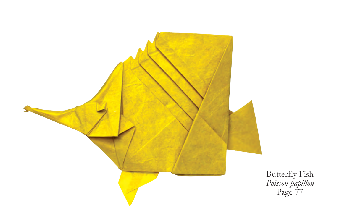 Butterfly fish