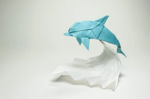 Dolphin