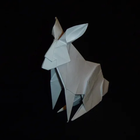 Rabbit