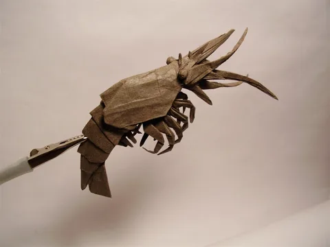 Shrimp