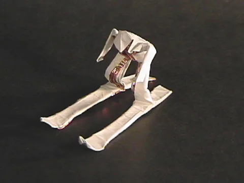 Skier