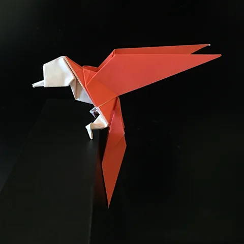 Triangle Bird