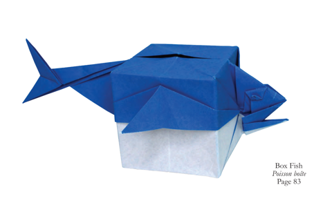 Box fish