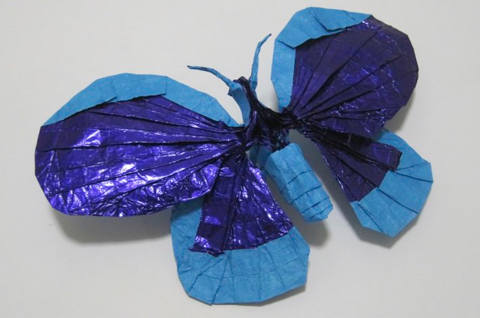 Butterfly 1.0