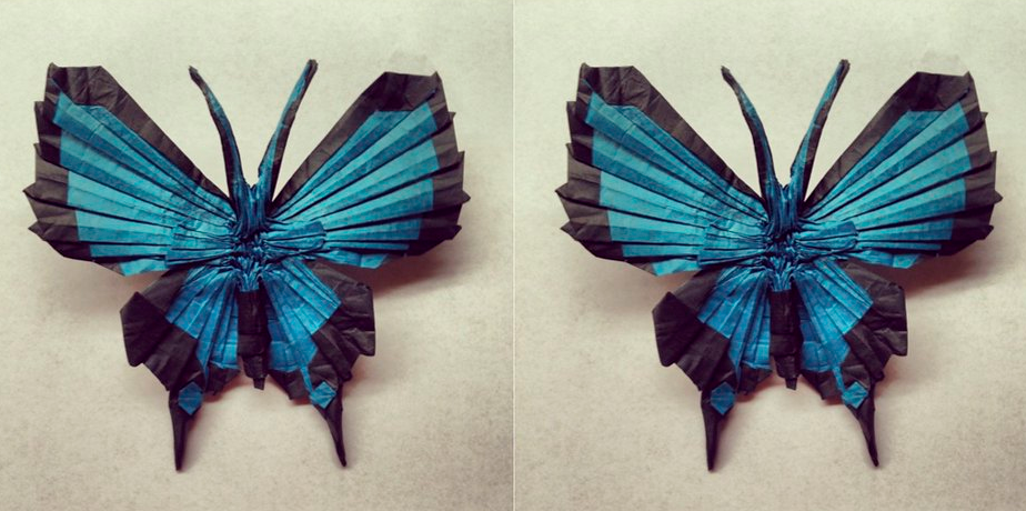 Butterfly 2.0