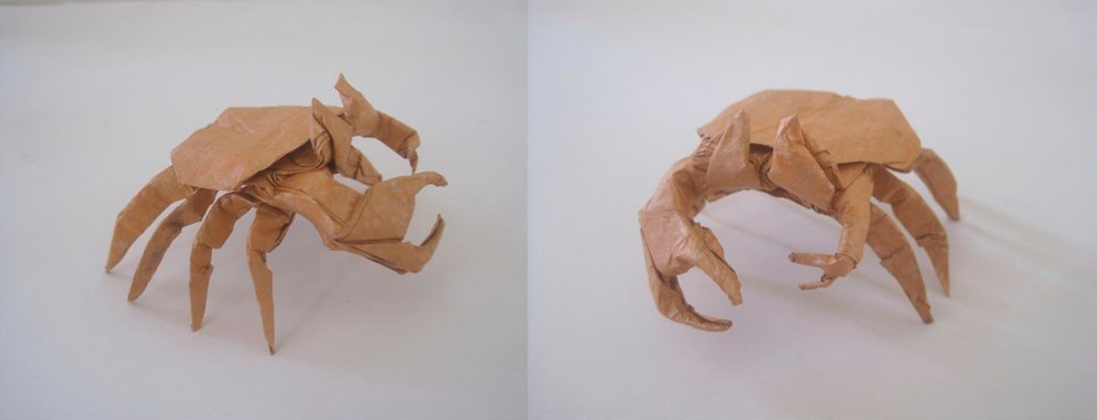 Fiddler Crab
