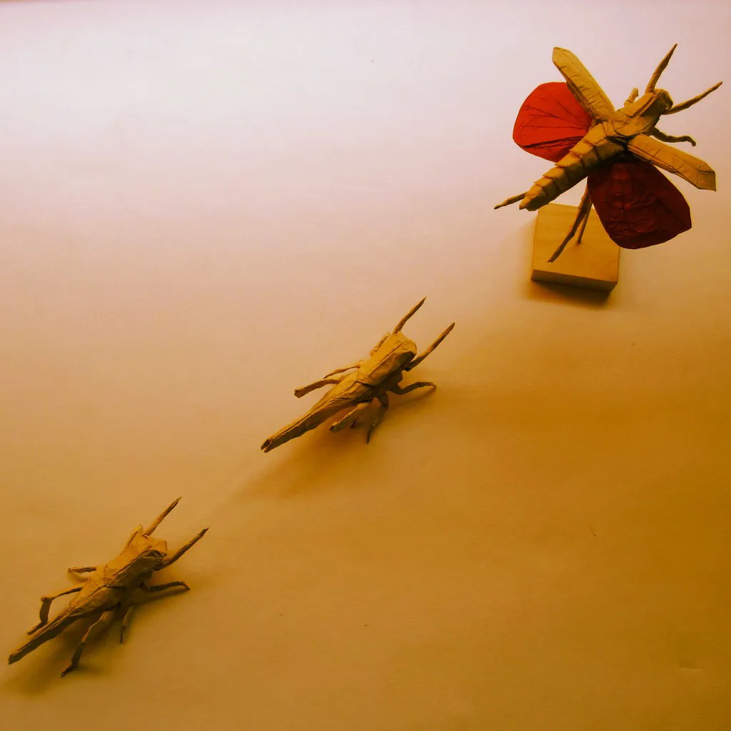 Flying grasshopper