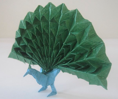 Peacock