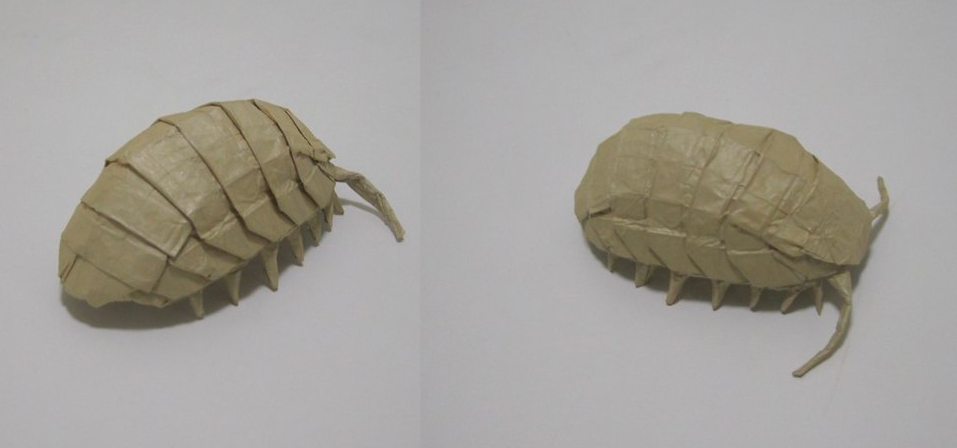 Pillbug