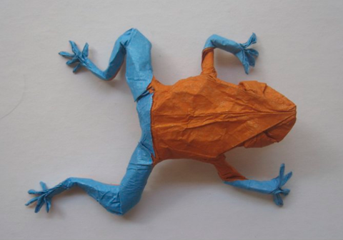 Poison Dart Frog