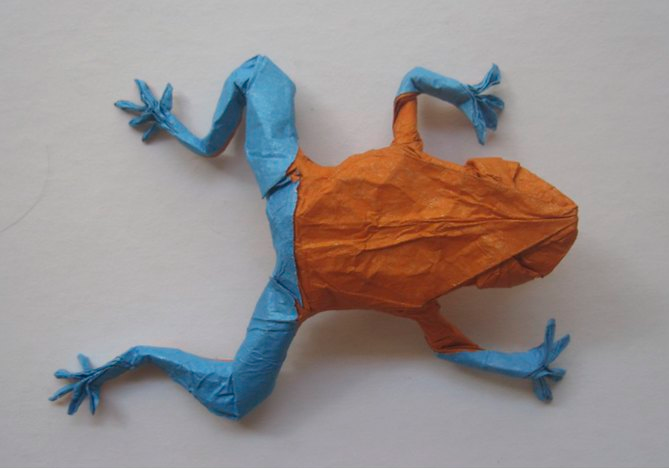 Poison Dart Frog