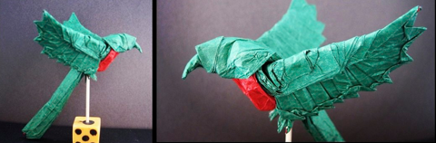 Quetzal bird