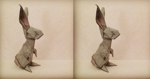 Rabbit