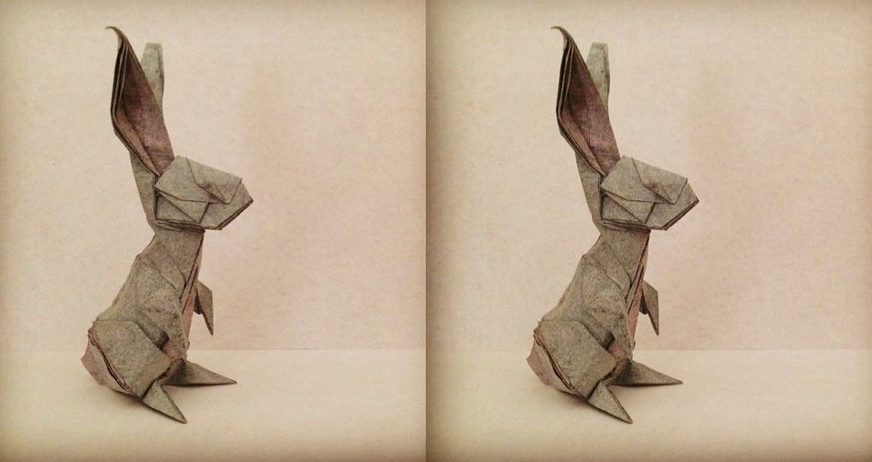 Rabbit