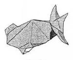 Goldfish