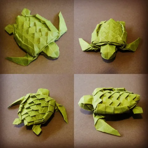 Sea turtle