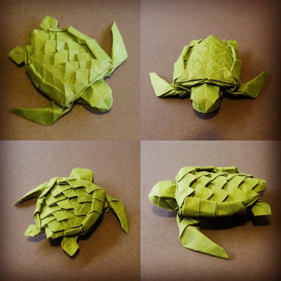 Sea turtle