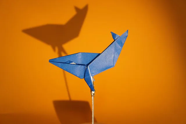 Blue Whale