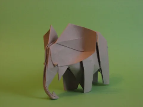 Elephant
