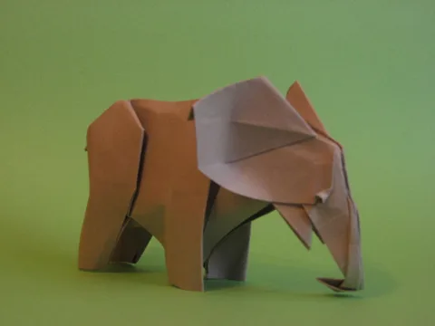 Elephant