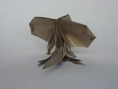 Frill-necked lizard