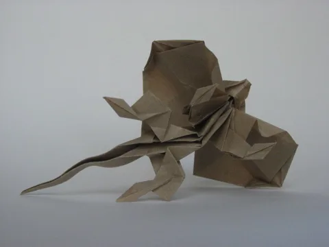 Frill-necked lizard