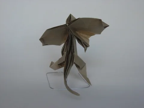 Frill-necked lizard