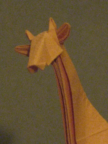 Giraffe