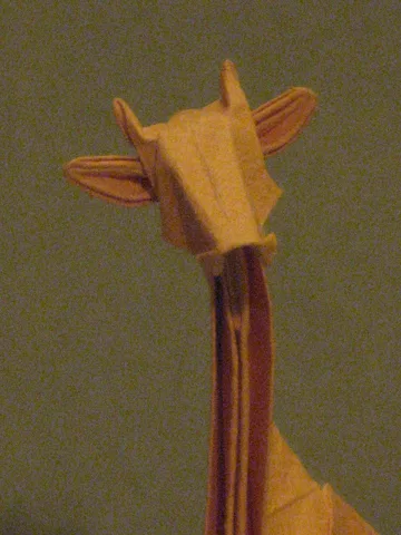 Giraffe